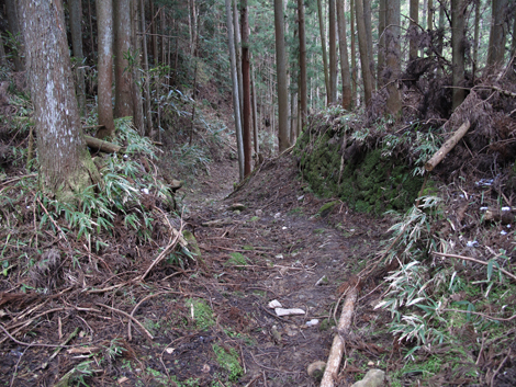 20140105hike (179)